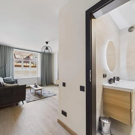 Charming Old Town 公寓 *